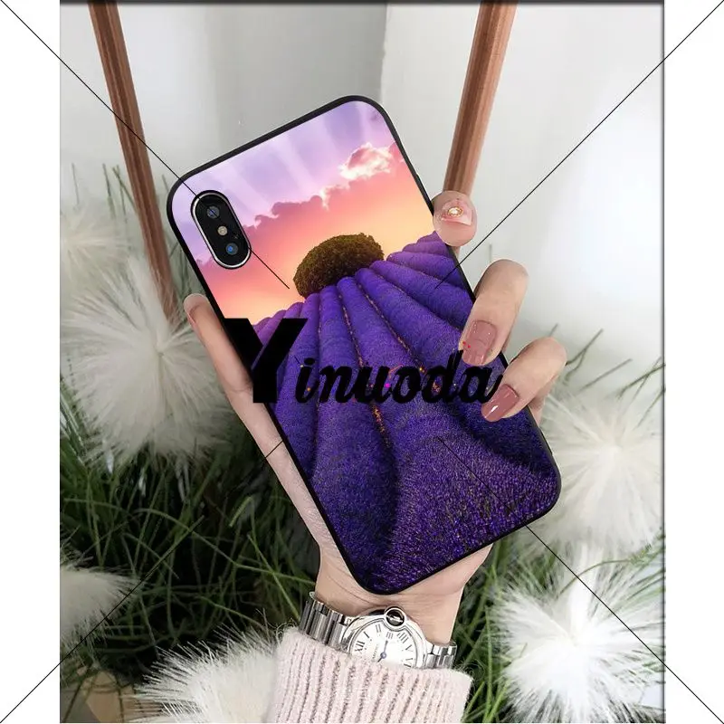 Simple lavender Purple flowers