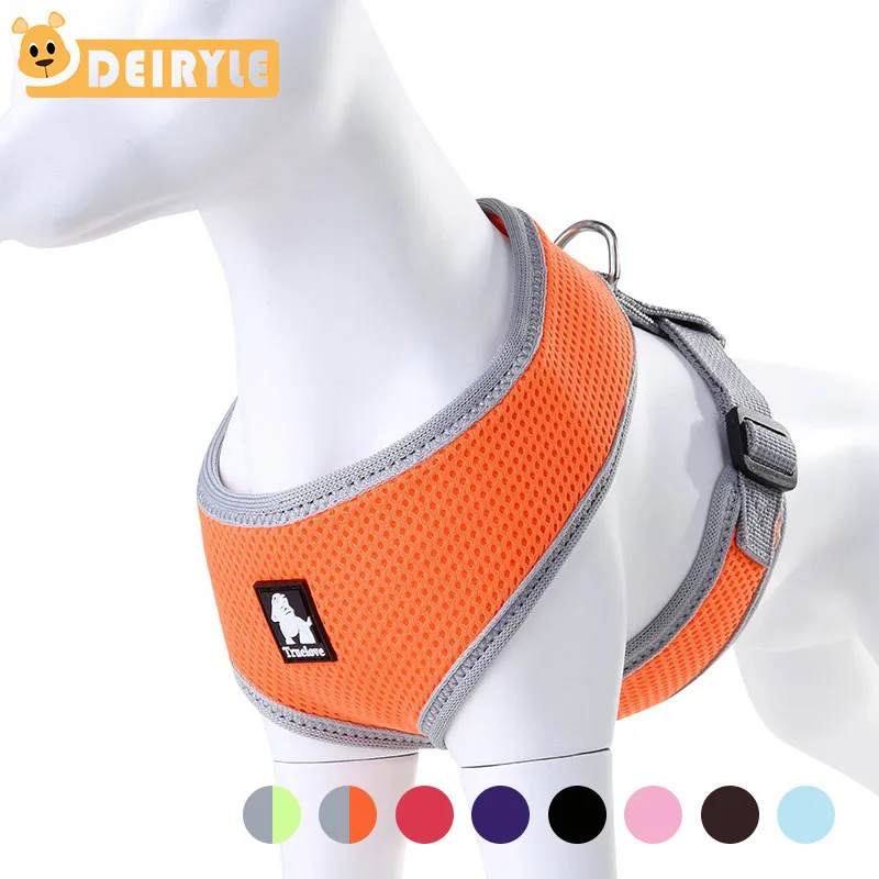 Pet Dog Cat Harness Breathable Mesh Padded Soft No Pull Vest Harness With D Ring For Pets Small Medium Puppy Many Colors
Pet Dog Cat Harness Breathable Mesh Padded Soft No Pull Vest Harness With D Ring For Pets Small Medium Puppy Many Colors