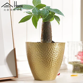 Nordic simple metal flower pot hydroponics plants thickened fleshy and creative interior scene model room decoration floor frame
Nordic simple metal flower pot hydroponics plants thickened fleshy and creative interior scene model room decoration floor frame