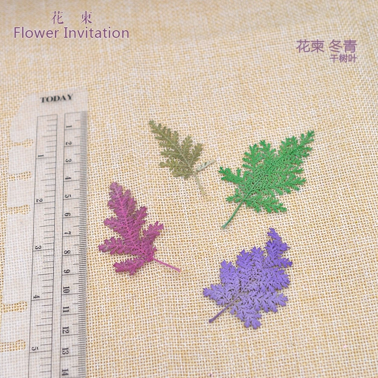 

Flower Invitation Holly Flower Embossed Dijiao Plant Specimens of Natural Dried Flower Bouquet