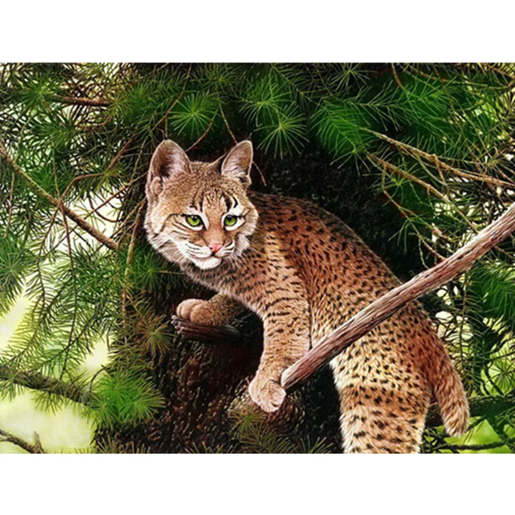Pictures By Numbers 5D Embroidery Paintings Animal Rhinestone Pasted DIY Diamond Painting Cross Stitch Poster 19Apr17 P40
Pictures By Numbers 5D Embroidery Paintings Animal Rhinestone Pasted DIY Diamond Painting Cross Stitch Poster 19Apr17 P40
