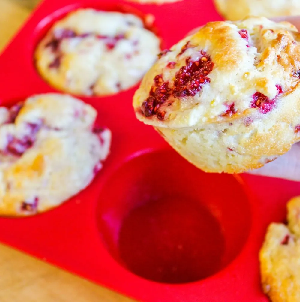 912jJohxOeL._SL1500_