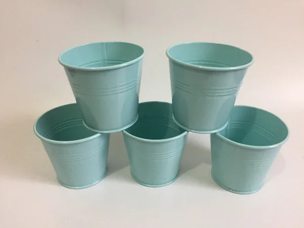 20Pcs/lot D9XH8CM Iron flower pot Tin Box Mini Tin Succulents Planter Metal Buckets for baby shower Light Blue SF-060
20Pcs/lot D9XH8CM Iron flower pot Tin Box Mini Tin Succulents Planter Metal Buckets for baby shower Light Blue SF-060