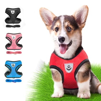 Nylon Small Dog Harness For Puppies Chihuahua Yorkie Teddy Cat Puppy Adjustable Chest Harness For Dogs Supplies
Nylon Small Dog Harness For Puppies Chihuahua Yorkie Teddy Cat Puppy Adjustable Chest Harness For Dogs Supplies