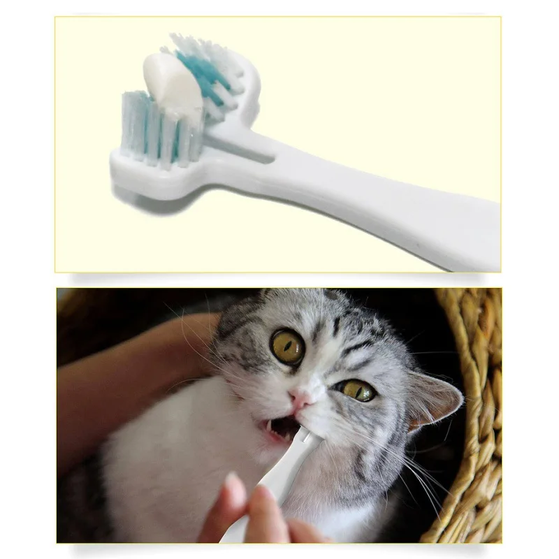 Dog Toothbrush Double Heads Teeth Brushing Cleaner Pet Breath Freshener Oral Care for Dog Cats Grooming Washing Supplies
Dog Toothbrush Double Heads Teeth Brushing Cleaner Pet Breath Freshener Oral Care for Dog Cats Grooming Washing Supplies