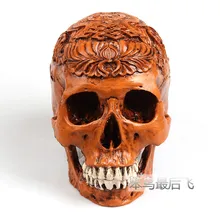 Antique brown Egypt 1: 1 human skull model life size resin skull model art teaching human skeleton model free shipping
Antique brown Egypt 1: 1 human skull model life size resin skull model art teaching human skeleton model free shipping