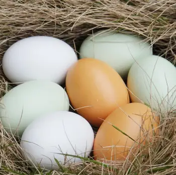 Faux Fake Wooden Easter Eggs to paint DIY easter eggs Graffiti Painted Tricky Toy Festival Decoration LX7230
Faux Fake Wooden Easter Eggs to paint DIY easter eggs Graffiti Painted Tricky Toy Festival Decoration LX7230
