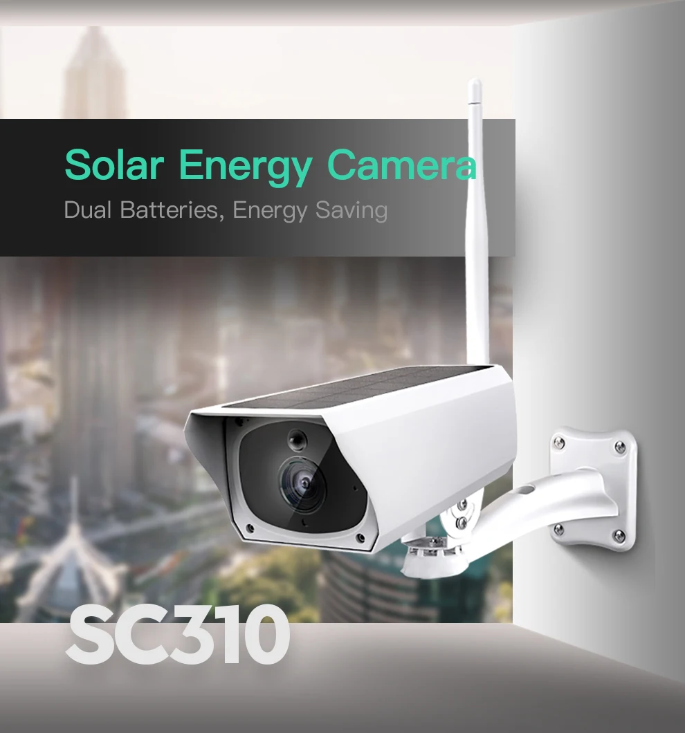 SC310990_01