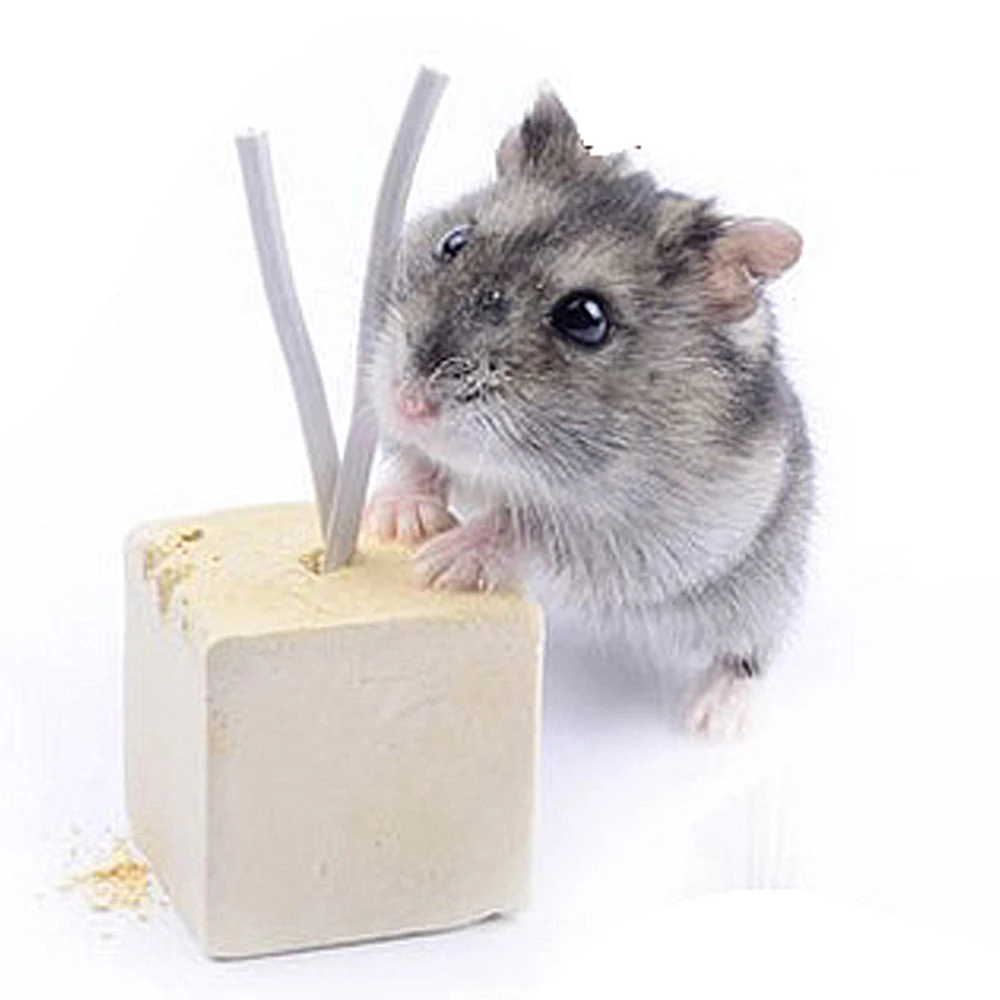 30g 3*3cm Cube Hamster Chew Mineral Calcium Stone Rabbit Totoro Guinea Pig Teeth Grinding Bite Molar Tooth Small Animal Supplies
30g 3*3cm Cube Hamster Chew Mineral Calcium Stone Rabbit Totoro Guinea Pig Teeth Grinding Bite Molar Tooth Small Animal Supplies