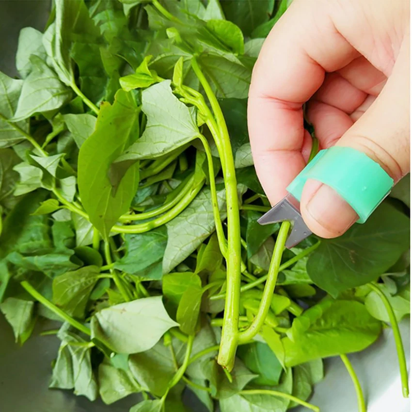 Vegetables Picker Thumb Ring Tomato Cucumber Grape Fruit Hand Cutting Tool Sharp Blade, Fast Picking Helper for Vegetable Garden
Vegetables Picker Thumb Ring Tomato Cucumber Grape Fruit Hand Cutting Tool Sharp Blade, Fast Picking Helper for Vegetable Garden