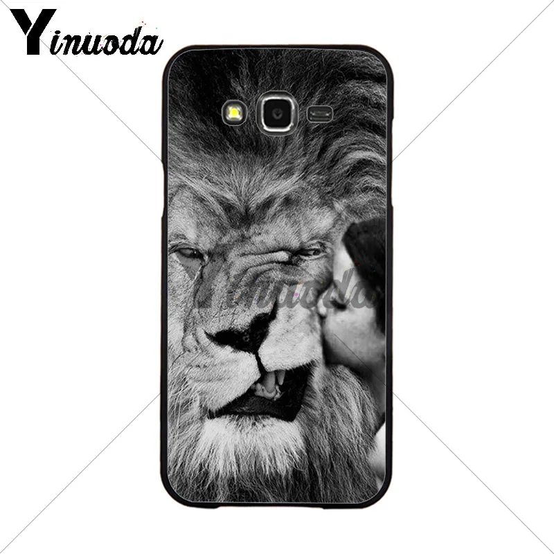 Animals The lion