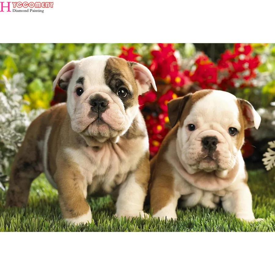 5d diamond painting Animal English Bulldog dog full drill square diamond embroidery Cross stitch rhinestones Wedding decoration
5d diamond painting Animal English Bulldog dog full drill square diamond embroidery Cross stitch rhinestones Wedding decoration