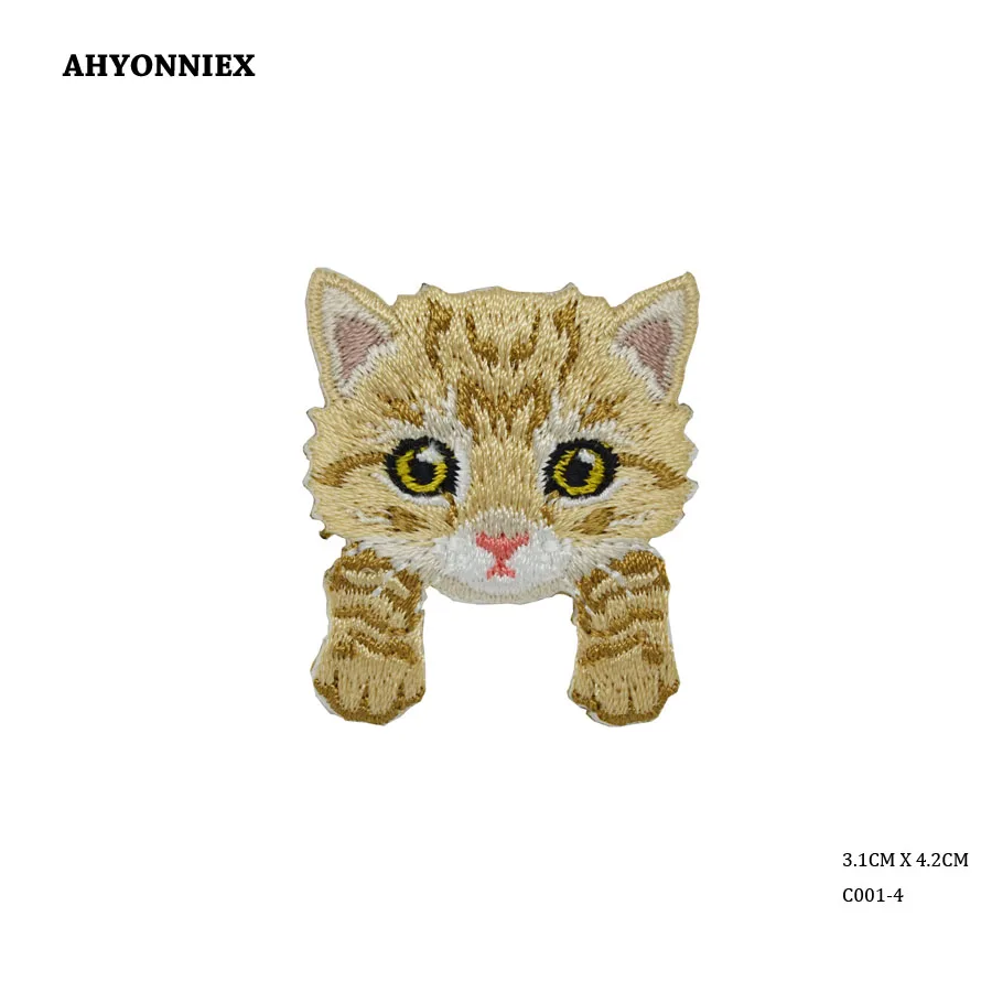 CAT 4-1
