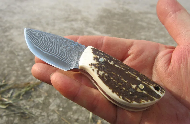 3602870061_742635196