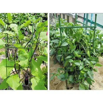 12pcs Expandable Plastic Plant Stakes Trellis Connectors Connecting Durable Functional Rod Brackets for Plants Supplies Garden
12pcs Expandable Plastic Plant Stakes Trellis Connectors Connecting Durable Functional Rod Brackets for Plants Supplies Garden
