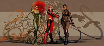 Living room home wall decoration fabric poster Fantasy art Harley Quinn Poison Ivy Catwoman
Living room home wall decoration fabric poster Fantasy art Harley Quinn Poison Ivy Catwoman