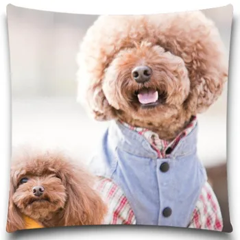 Teddy dog Excellent Quality Soft Cushion Covers Christmas Halloween Cotton Polyester Pillow Cases 5 size 9 style
Teddy dog Excellent Quality Soft Cushion Covers Christmas Halloween Cotton Polyester Pillow Cases 5 size 9 style
