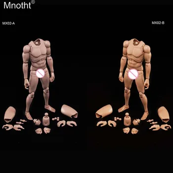 

Mnotht 1/6 MX02-A MX02-B Europe/America Asia Skin Flexible Muscle Male Body Model for 12in Toys Soldier Action Figure m6n