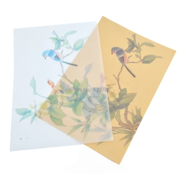 15x21cm & 21x29cm Printing bird Wax Wrapping Paper Handmade Soap Wrapping Paper custom Gift kraft Paper 200pcs
15x21cm & 21x29cm Printing bird Wax Wrapping Paper Handmade Soap Wrapping Paper custom Gift kraft Paper 200pcs