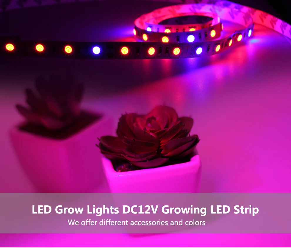 LED Grow Lights DC12V (8)