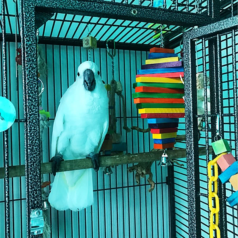 Wholesale Price Pet Supplies Wooden Colorful Bird Toy for Small To Big Parrots and Big Bird Chew and Swing Toys
Wholesale Price Pet Supplies Wooden Colorful Bird Toy for Small To Big Parrots and Big Bird Chew and Swing Toys