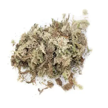 AUGKUN Water Moss Dry Moss Phalaenopsis Orchids Soilless Cultivation Substrate Soil 12L Compressed Pack for Garden Supplies
AUGKUN Water Moss Dry Moss Phalaenopsis Orchids Soilless Cultivation Substrate Soil 12L Compressed Pack for Garden Supplies