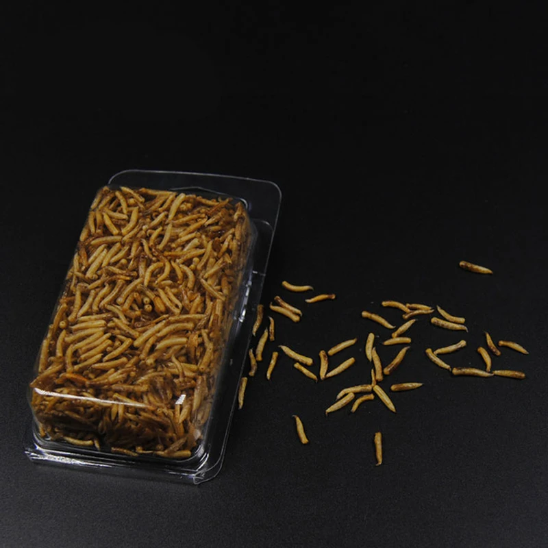1 Pack Clean Dry Maggots for Fishing / High Protein Nutritious Fish Bait / Food Winter Carp Fishing Baits
1 Pack Clean Dry Maggots for Fishing / High Protein Nutritious Fish Bait / Food Winter Carp Fishing Baits