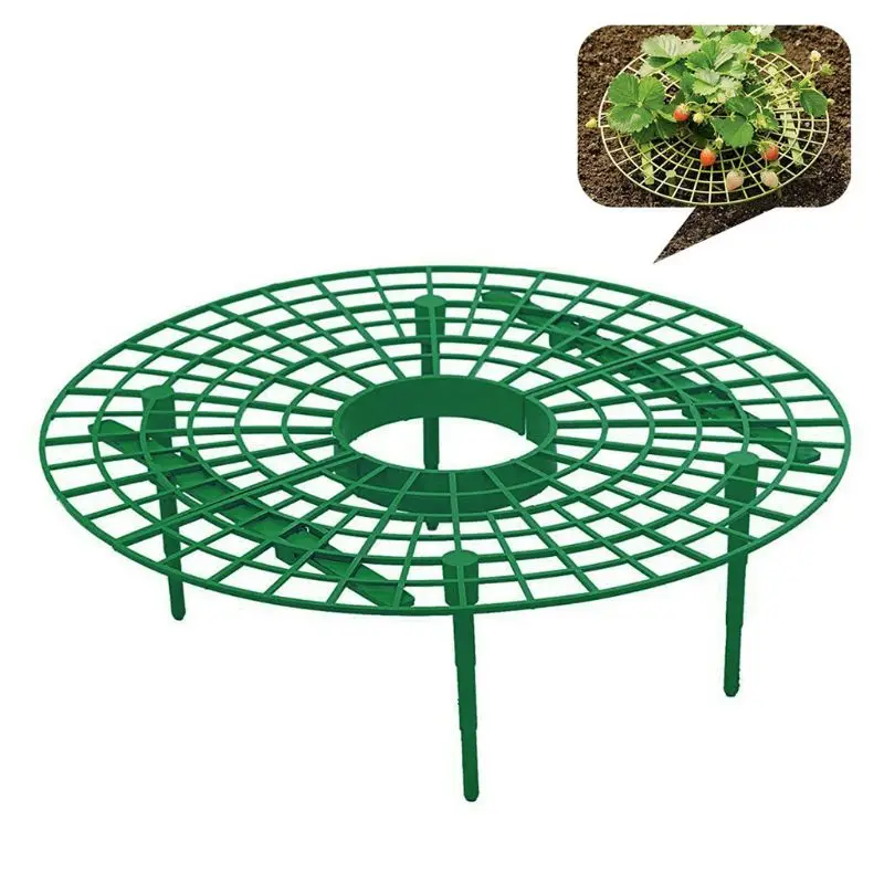 10pcs Plant Plastic Tool Strawberry stand Growing Circle Support Rack Farming Improve Harvest Frame Lightweight Removable Easy I
10pcs Plant Plastic Tool Strawberry stand Growing Circle Support Rack Farming Improve Harvest Frame Lightweight Removable Easy I