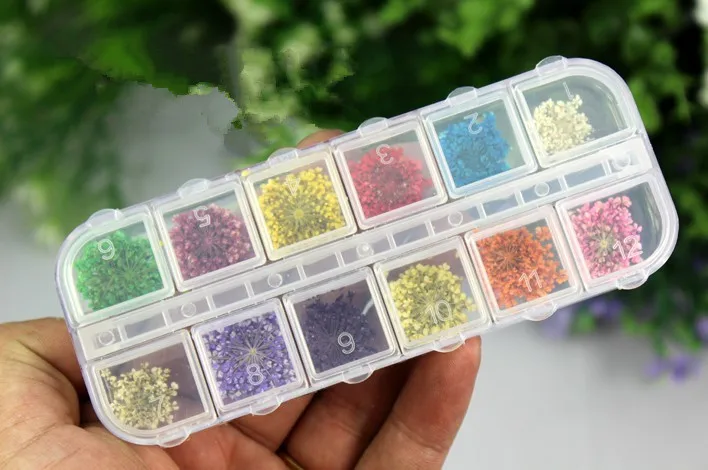 2boxs/lot Nail Art Decorations Real Dry Dried Flowers For UV Gel Nails DIY Design Manicure Styling Tools Nail Art Tips Stickers
2boxs/lot Nail Art Decorations Real Dry Dried Flowers For UV Gel Nails DIY Design Manicure Styling Tools Nail Art Tips Stickers