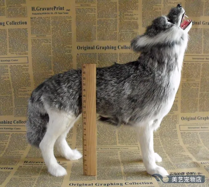 

big simulaiton wolf toy plastic&fur new creative wolf model doll gift about 35x12x30cm