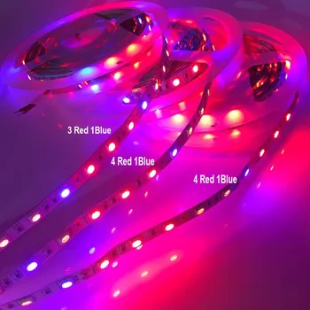 0.5 -5M Waterproof 5050 Grow LED Flexible Strip Tape Light 3 / 4 / 5 Red 1 Blue Aquarium Greenhouse Hydroponic Plant Grow Lamp
0.5 -5M Waterproof 5050 Grow LED Flexible Strip Tape Light 3 / 4 / 5 Red 1 Blue Aquarium Greenhouse Hydroponic Plant Grow Lamp