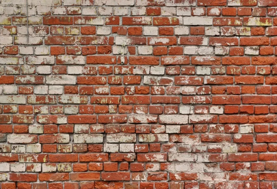 Laeacco Photography Backdrops Red Brick Wall Party Wallpaper Party Decor Pattern Photographic Backgrounds Photocall Photo Studio
Laeacco Photography Backdrops Red Brick Wall Party Wallpaper Party Decor Pattern Photographic Backgrounds Photocall Photo Studio
