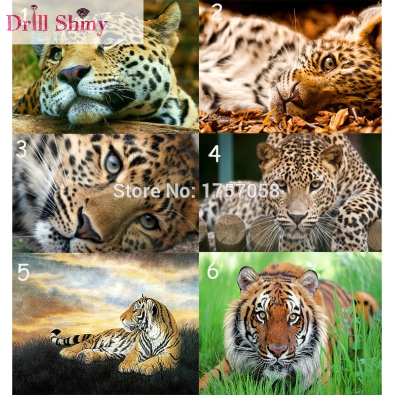 Tiger Pasted 5D DIY Diamond Embroidery Animal Full Mosaic Rhinestone Cross Stitch Kit Embroidery Patterns Wall Sticker
Tiger Pasted 5D DIY Diamond Embroidery Animal Full Mosaic Rhinestone Cross Stitch Kit Embroidery Patterns Wall Sticker