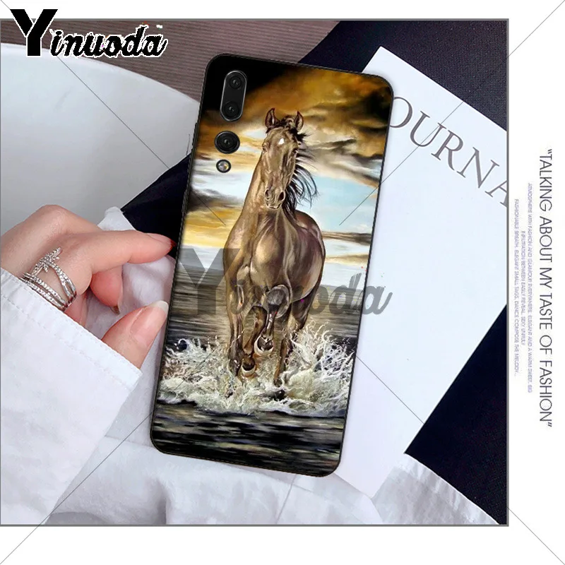 andalusian horse