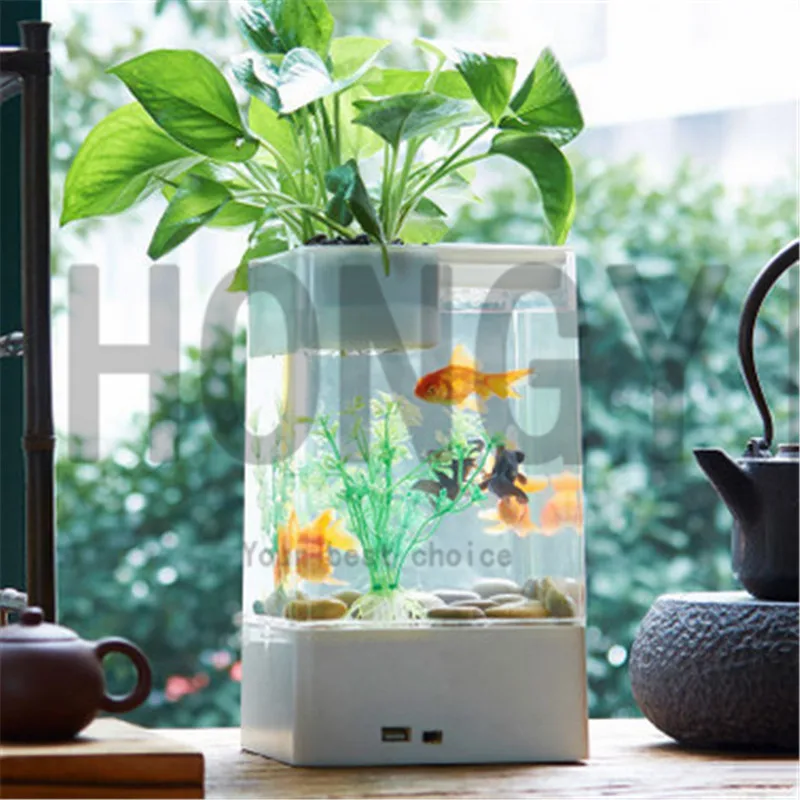HONGYI 1 piece lazy mini small acrylic goldfish bowl fish tank free water change transparent betta fish tank creative goods
HONGYI 1 piece lazy mini small acrylic goldfish bowl fish tank free water change transparent betta fish tank creative goods