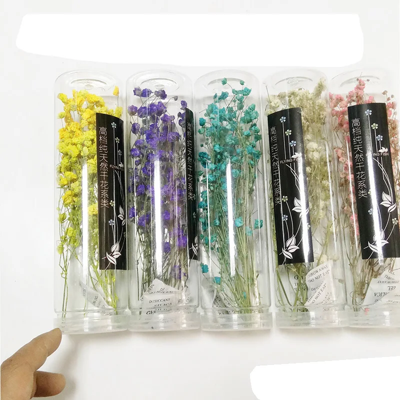All Stars Forever Flowers Incense Car Hanging Wax Candle DIY Wax Card Material Dried Flowers Candle Handmade DIY Materials Gifts
All Stars Forever Flowers Incense Car Hanging Wax Candle DIY Wax Card Material Dried Flowers Candle Handmade DIY Materials Gifts