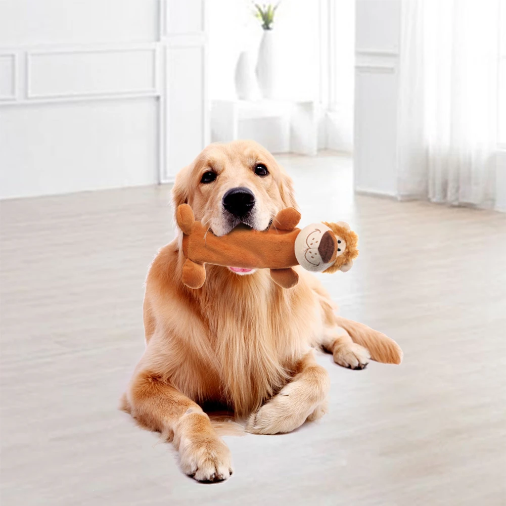 Why does my dog like chewing on plastic bottles factamela