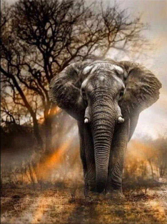 5D DIY Diamond Embroidery 3D Diamond Painting Animal Elephant Cross Stitch Needlework Home Decor Round drill gift
5D DIY Diamond Embroidery 3D Diamond Painting Animal Elephant Cross Stitch Needlework Home Decor Round drill gift