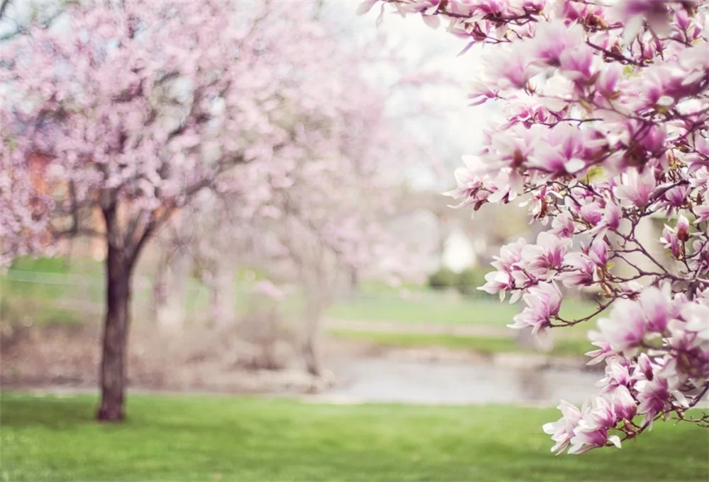 Laeacco Spring Blossom Flowrers Tree Green Grass Light Bokeh Baby Portrait Scenic Photo Backgrounds Photo Backdrops Photo Studio
Laeacco Spring Blossom Flowrers Tree Green Grass Light Bokeh Baby Portrait Scenic Photo Backgrounds Photo Backdrops Photo Studio