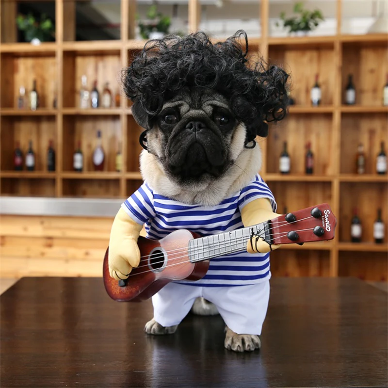 Curly Wig & Guitar Costume for French Bulldogs & Other Small Dogs, Dog Clothings
Curly Wig & Guitar Costume for French Bulldogs & Other Small Dogs, Dog Clothings