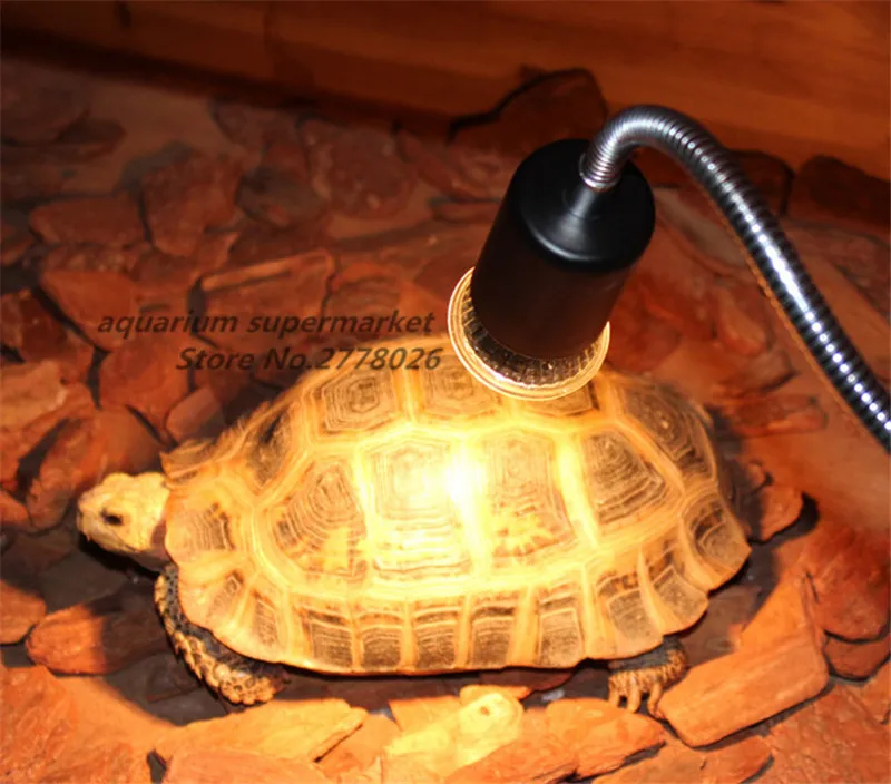 Где Купить Уф Лампу Для Черепахи
