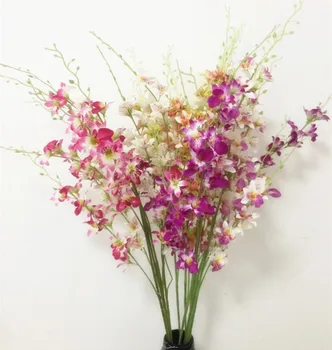 100pcs Dendrobium Orchids white/green/purple/fuchsia/red/yellow six Colors Orchid Flowers for Wedding Centerpieces
100pcs Dendrobium Orchids white/green/purple/fuchsia/red/yellow six Colors Orchid Flowers for Wedding Centerpieces