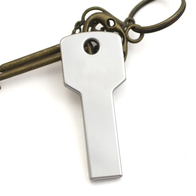 Hotsale Metal Key USB Flash Drive 64GB 128GB Silver Gold Memory USB Stick 512GB Pen Drive 1TB Pendrive 2TB Pendriver 2.0 Gift
Hotsale Metal Key USB Flash Drive 64GB 128GB Silver Gold Memory USB Stick 512GB Pen Drive 1TB Pendrive 2TB Pendriver 2.0 Gift