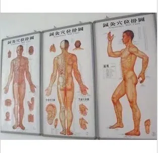 Chinese acupuncture&moxibustion acupoint map meridian acupoint diagram illustration 98*50cm
Chinese acupuncture&moxibustion acupoint map meridian acupoint diagram illustration 98*50cm