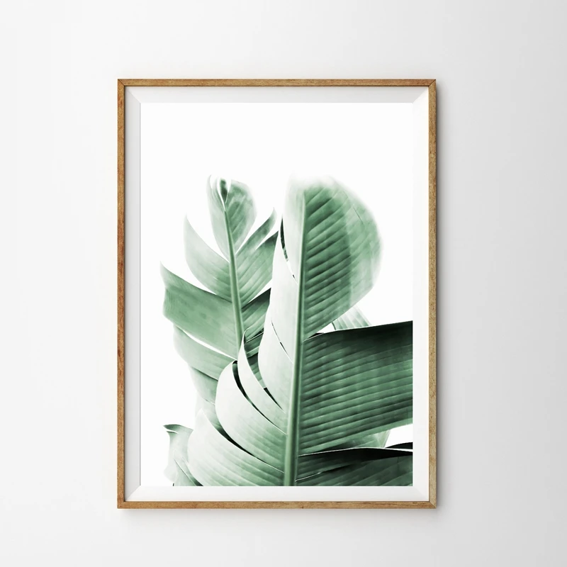 Banana Leaf Canvas Prints