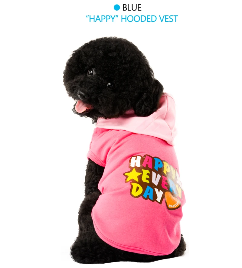 5 pet dog