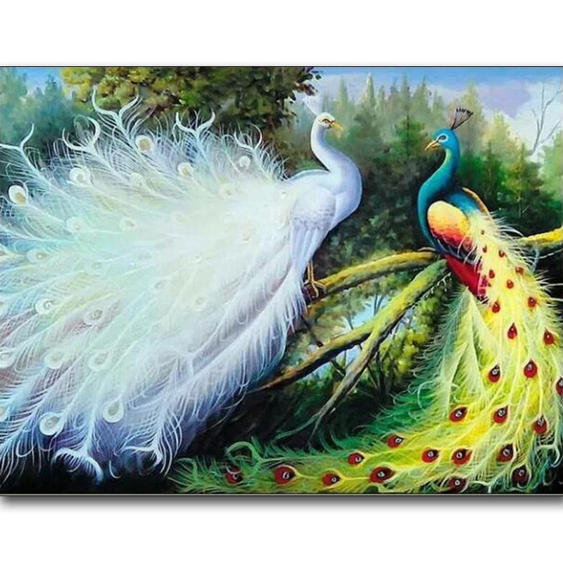 Diamond Painting Animals Cross Stitch Kits Diamond Embroidery Peacock Pictures Of Rhinestones Diamond Mosaic Needlework
Diamond Painting Animals Cross Stitch Kits Diamond Embroidery Peacock Pictures Of Rhinestones Diamond Mosaic Needlework