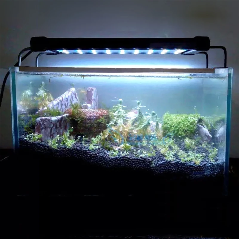 50CM EU Plug Original SMD Aquarium LED Lighting Fish Tank Lamp Extendable Frame White & Blue LED for Aquarium
50CM EU Plug Original SMD Aquarium LED Lighting Fish Tank Lamp Extendable Frame White & Blue LED for Aquarium