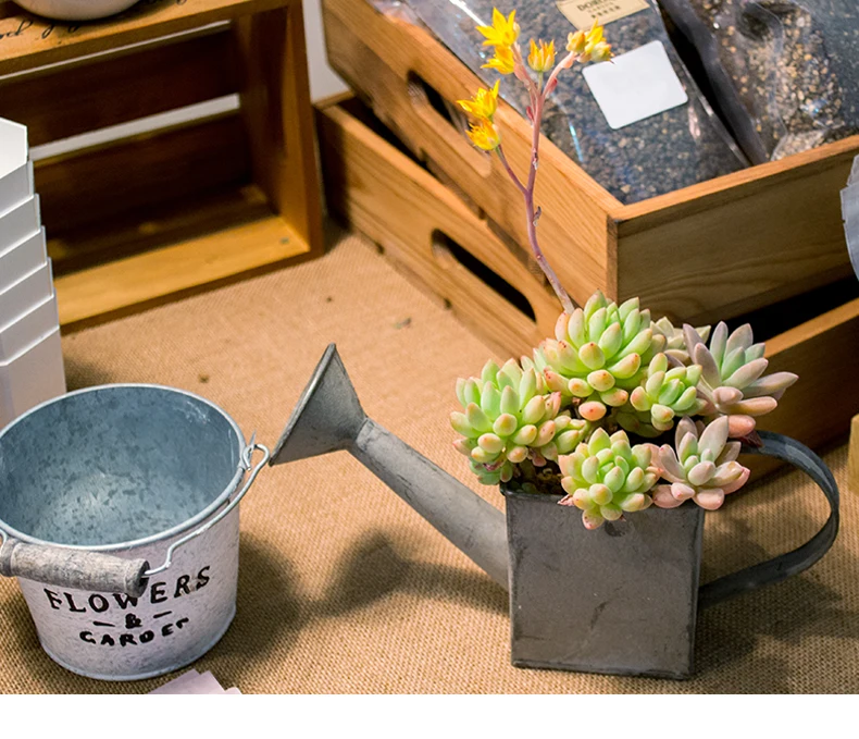 QT735_01