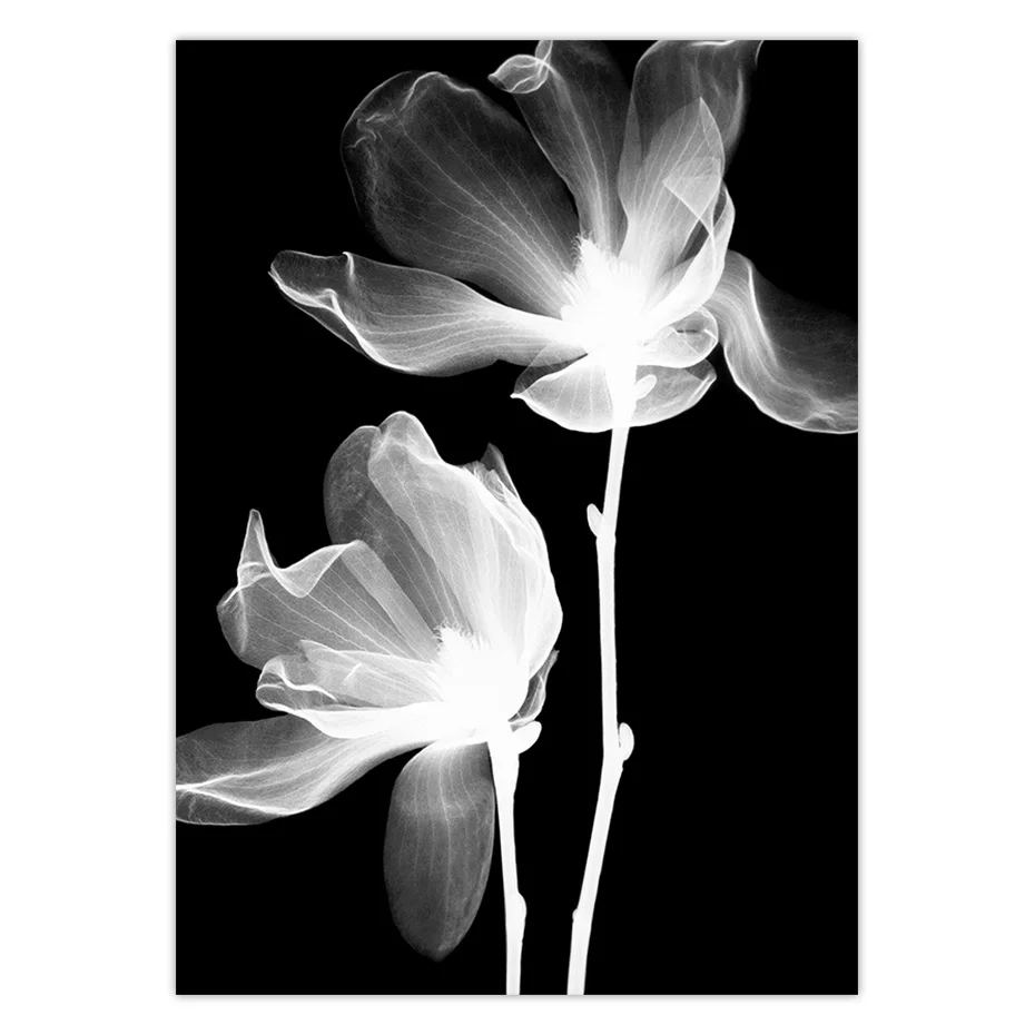 color_opt_12